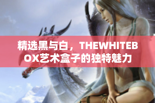 精选黑与白，THEWHITEBOX艺术盒子的独特魅力