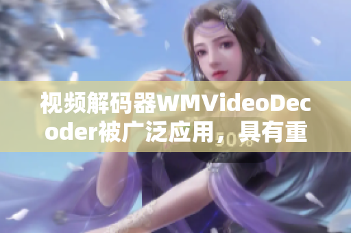 视频解码器WMVideoDecoder被广泛应用，具有重要意义