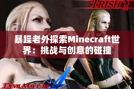 暴躁老外探索Minecraft世界：挑战与创意的碰撞