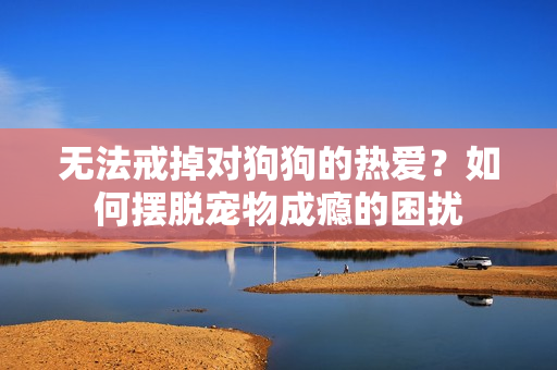 无法戒掉对狗狗的热爱？如何摆脱宠物成瘾的困扰