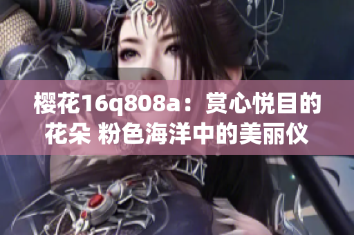 樱花16q808a：赏心悦目的花朵 粉色海洋中的美丽仪式 