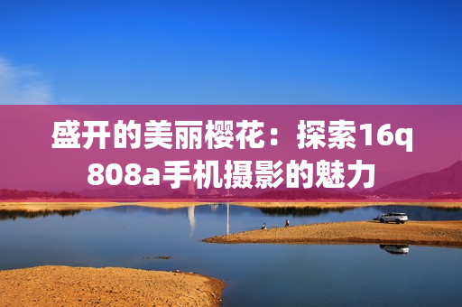 盛开的美丽樱花：探索16q808a手机摄影的魅力