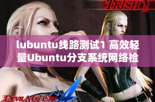 lubuntu线路测试1 高效轻量Ubuntu分支系统网络检测