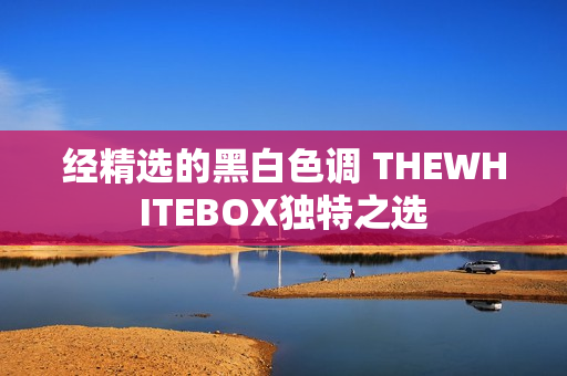 经精选的黑白色调 THEWHITEBOX独特之选