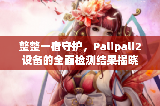 整整一宿守护，Palipali2设备的全面检测结果揭晓