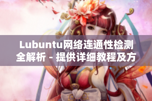 Lubuntu网络连通性检测全解析 - 提供详细教程及方法