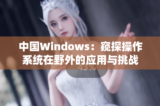 中国Windows：窥探操作系统在野外的应用与挑战