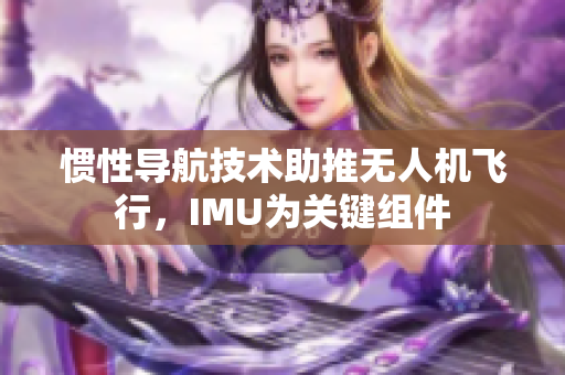 惯性导航技术助推无人机飞行，IMU为关键组件