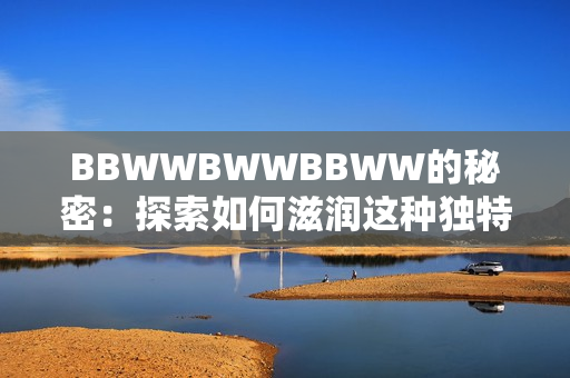 BBWWBWWBBWW的秘密：探索如何滋润这种独特的音乐编排方式