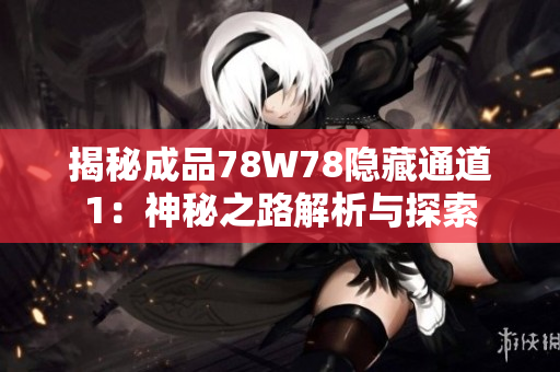 揭秘成品78W78隐藏通道1：神秘之路解析与探索