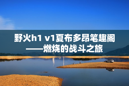 野火h1 v1夏布多昂笔趣阁——燃烧的战斗之旅