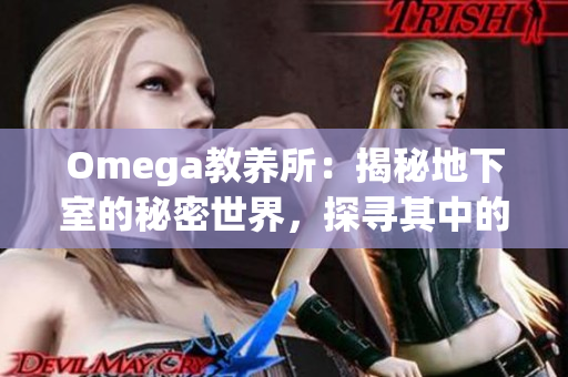 Omega教养所：揭秘地下室的秘密世界，探寻其中的神秘故事和未解之谜