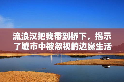 流浪汉把我带到桥下，揭示了城市中被忽视的边缘生活