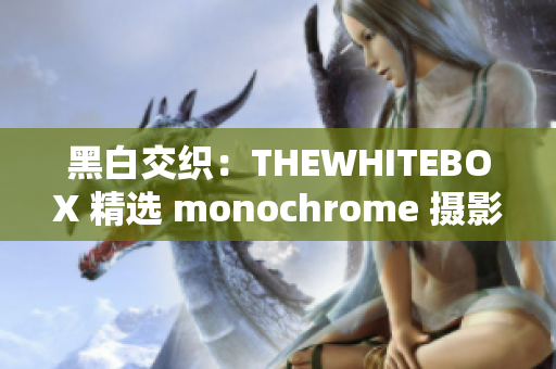 黑白交织：THEWHITEBOX 精选 monochrome 摄影