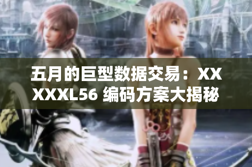 五月的巨型数据交易：XXXXXL56 编码方案大揭秘