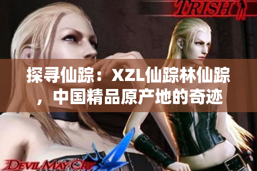 探寻仙踪：XZL仙踪林仙踪，中国精品原产地的奇迹