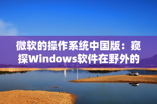 微软的操作系统中国版：窥探Windows软件在野外的应用与挑战