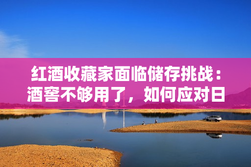 红酒收藏家面临储存挑战：酒窖不够用了，如何应对日益增长的酒瓶数量？