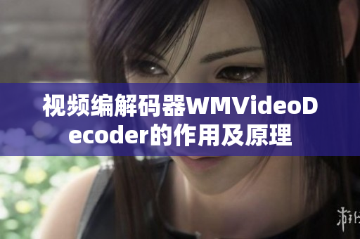 视频编解码器WMVideoDecoder的作用及原理