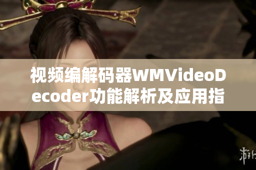 视频编解码器WMVideoDecoder功能解析及应用指南