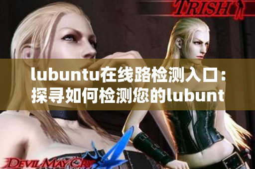 lubuntu在线路检测入口：探寻如何检测您的lubuntu连接状态