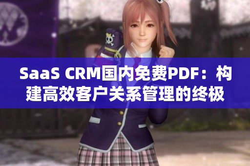 SaaS CRM国内免费PDF：构建高效客户关系管理的终极解决方案