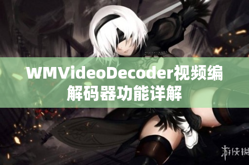 WMVideoDecoder视频编解码器功能详解