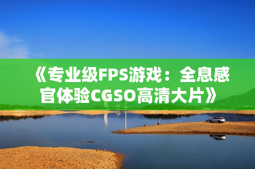 《专业级FPS游戏：全息感官体验CGSO高清大片》