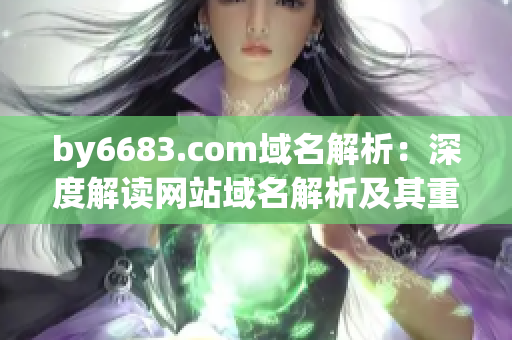 by6683.com域名解析：深度解读网站域名解析及其重要性