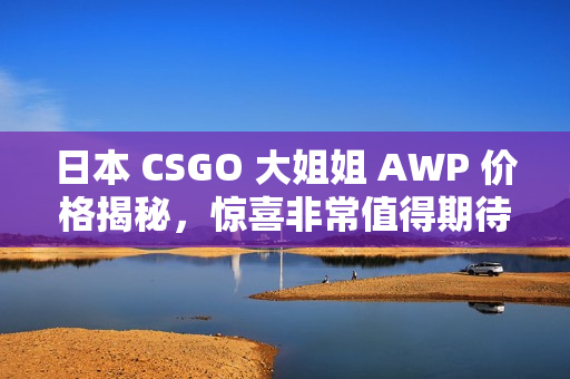 日本 CSGO 大姐姐 AWP 价格揭秘，惊喜非常值得期待