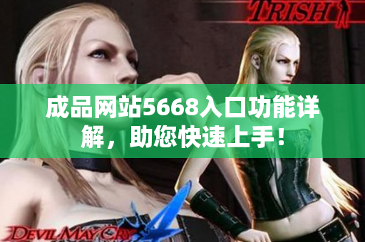 成品网站5668入口功能详解，助您快速上手！