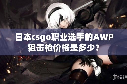 日本csgo职业选手的AWP狙击枪价格是多少？