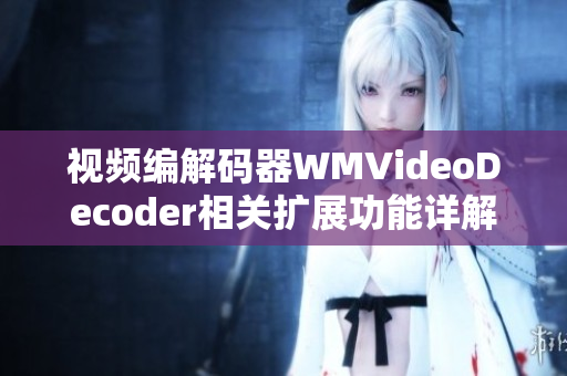 视频编解码器WMVideoDecoder相关扩展功能详解