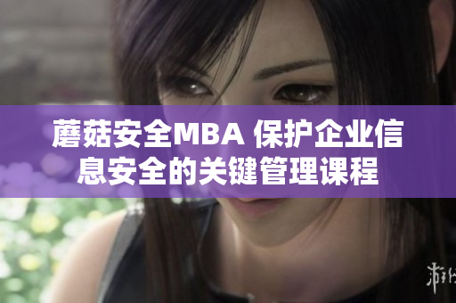 蘑菇安全MBA 保护企业信息安全的关键管理课程