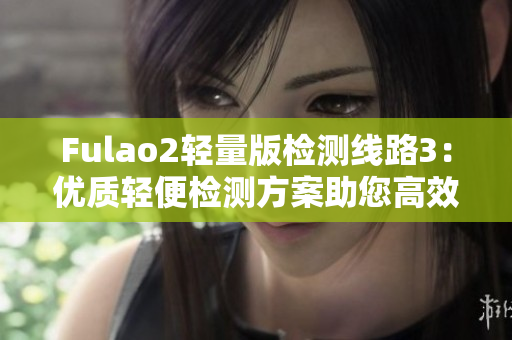 Fulao2轻量版检测线路3：优质轻便检测方案助您高效应对