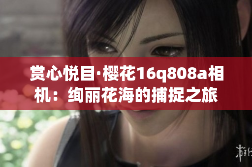赏心悦目·樱花16q808a相机：绚丽花海的捕捉之旅