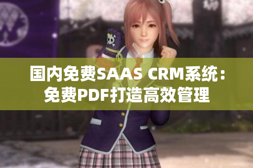 国内免费SAAS CRM系统：免费PDF打造高效管理