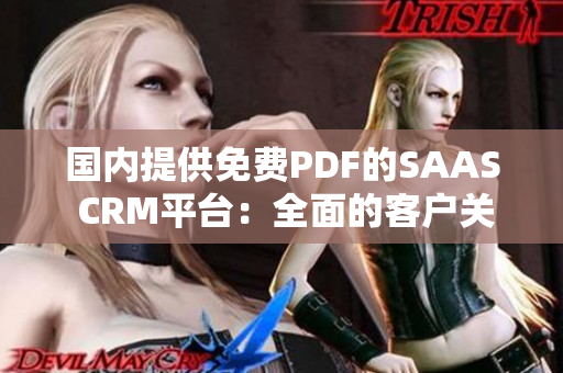 国内提供免费PDF的SAAS CRM平台：全面的客户关系管理解决方案