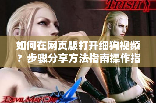 如何在网页版打开细狗视频？步骤分享方法指南操作指引