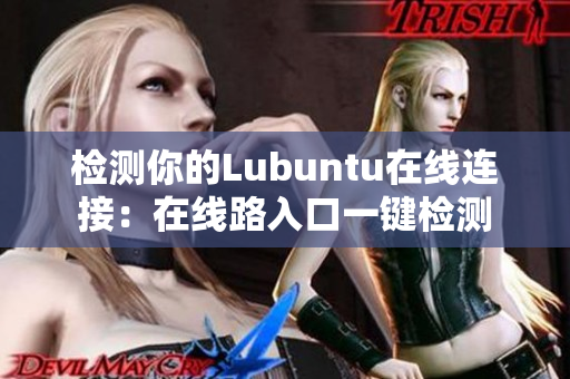 检测你的Lubuntu在线连接：在线路入口一键检测