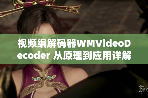 视频编解码器WMVideoDecoder 从原理到应用详解