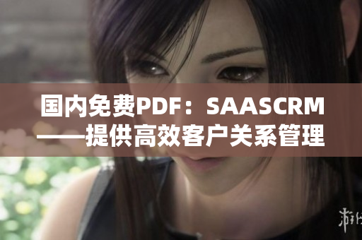 国内免费PDF：SAASCRM——提供高效客户关系管理解决方案