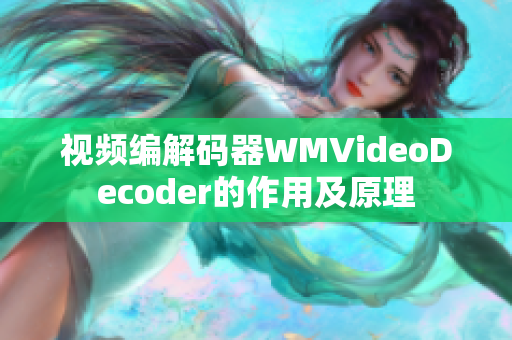 视频编解码器WMVideoDecoder的作用及原理